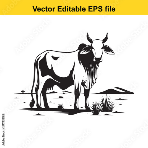 Powerful bull with large horns on white background