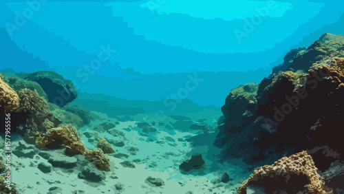 Sea floor with coral reef