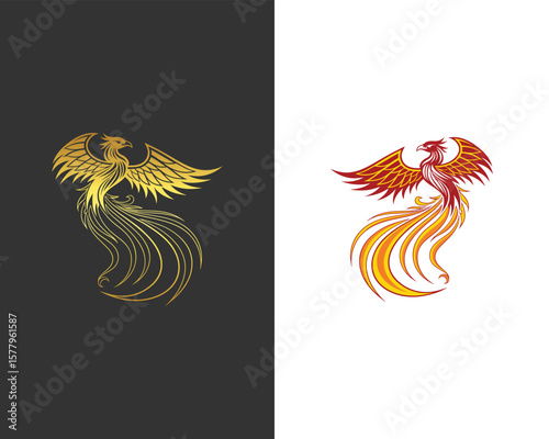 Phoenix illustration and logo design