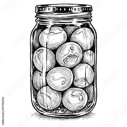 Vintage Ink Sketch Pickled Tomatoes in Glass Jar – Winter Preservation Concept – Hand Drawn black and white illustration, Engraving Retro Style vector SVG
