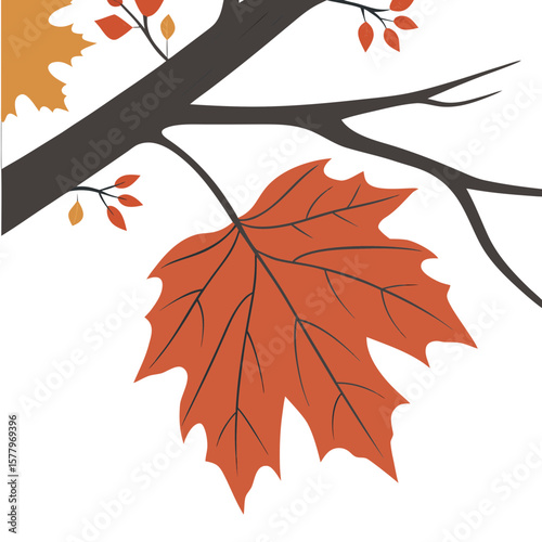 Colorful autumn maple leaf hanging on branch with soft light background  