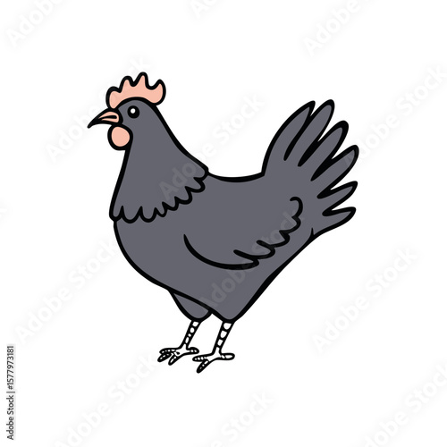 Chicken Drawing in Gray with a Red Comb standing still on a White Background