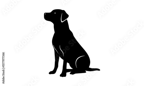 A striking silhouette of a black domestic cat and a loyal black Labrador retriever puppy, perfect for any pet or animal-themed project,black dog silhouette, black labrador retriever, Black Labrador re