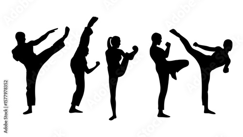 Martial Arts Silhouette PNG - Karate & Taekwondo Poses Transparent Background