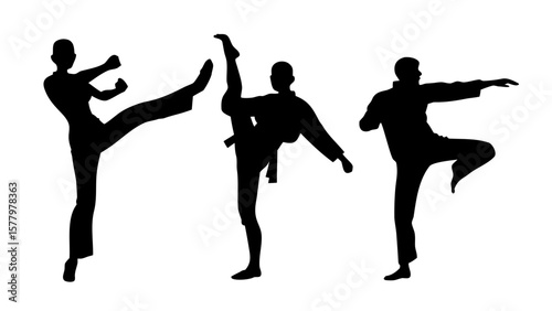 Martial Arts Silhouette PNG - Karate & Taekwondo Poses Transparent Background