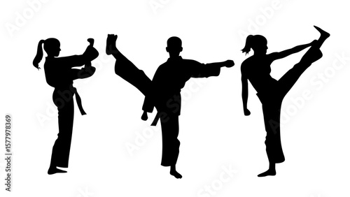 Martial Arts Silhouette PNG - Karate & Taekwondo Poses Transparent Background