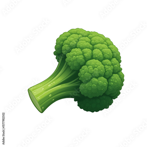 Illustration of Fresh Green Broccoli