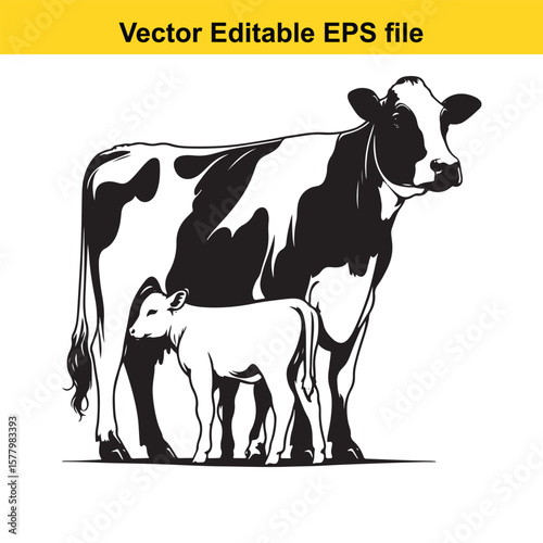 cow and calf standing together isolated on white background