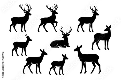 Set of deer silhouettes. Collection of standing, walking, sitting wild animals. Stag, buck, doe, and fawn icons for logos, hunting designs, or Christmas concepts. Vector.