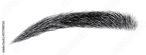 Eyebrow Stencil for Eyebrow Shaping and Makeup - Isolated on White Background