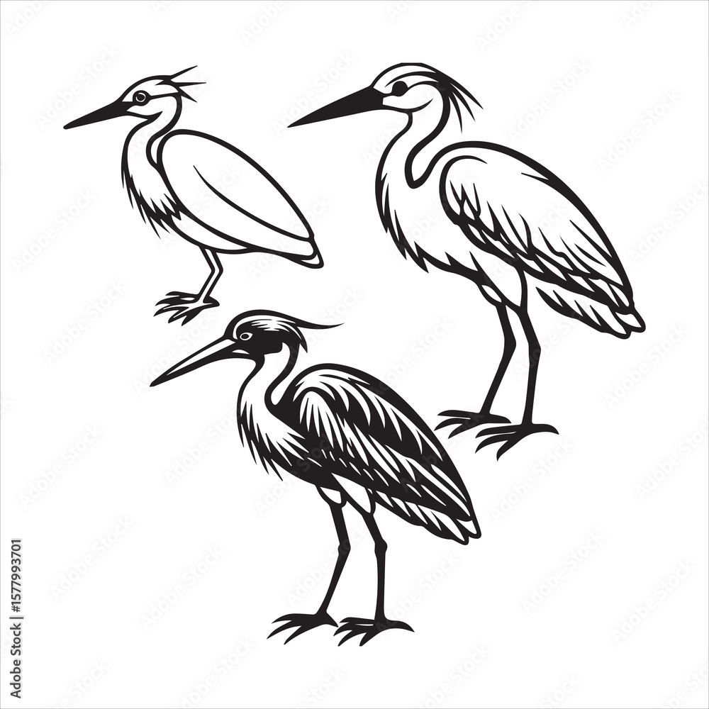 Fototapeta premium little egret icon silhouette vector