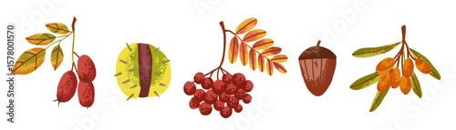 Autumn set of berry, chestnut and acorn drawn in flat style with noise texture