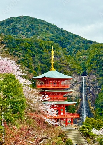Amazing Red pagoda and waterfall in Japan during cherry blossom season, Kumano Nachi Taisha Shrine and Nachi Falls