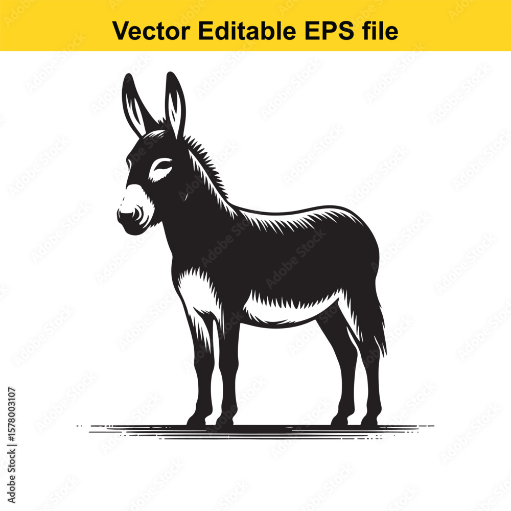 Obraz premium a Donkey – Long Ears and Stoic Expression with Rustic Charm