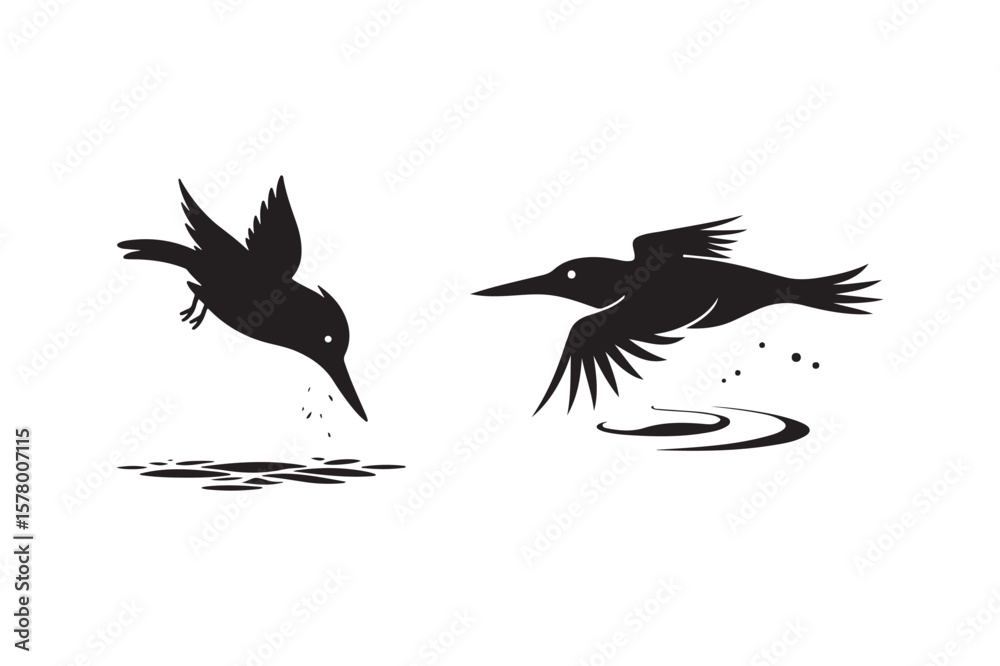 Obraz premium Kingfisher diving for fish in water with ripples and splashes