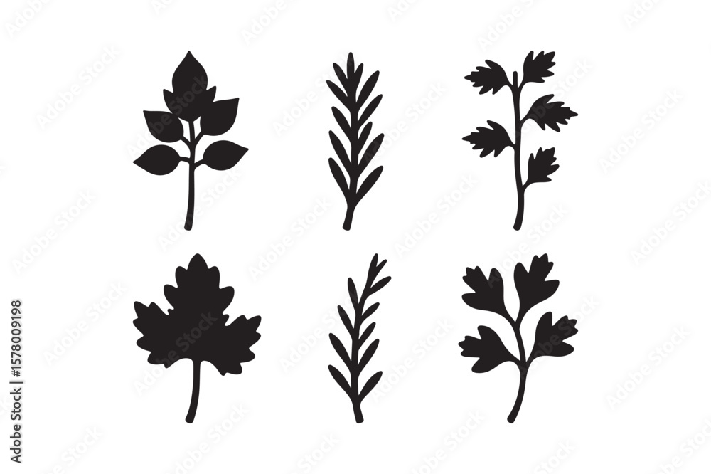 Fototapeta premium Collection of black silhouette botanical leaf and herb sprigs on white background