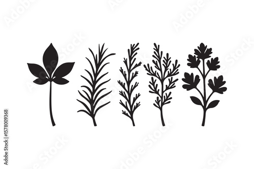 Collection of stylized black botanical silhouettes on a white background