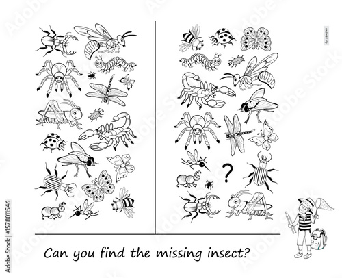 Can you find the missing insect? Logic puzzle for children and adults. Educational game. Page for brain teaser book. Task for attentiveness. Kids activity sheet. Black and white vector illustration.