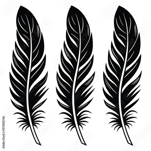 set of feathers
