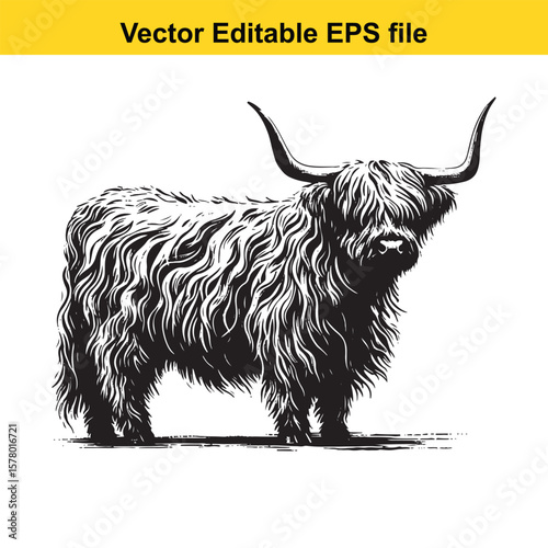 Whimsical Ink Wash Art of Highland Cattle – Shaggy Hair and Long Horns with Textured Fur Detail