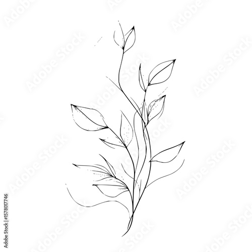 A delicate botanical illustration featuring a slender stem with several stylized leaves in black ink