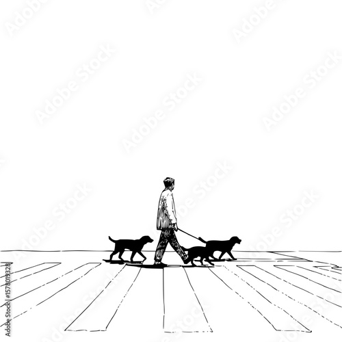A man walking three dogs across a pedestrian crossing in a black and white sketch illustration style