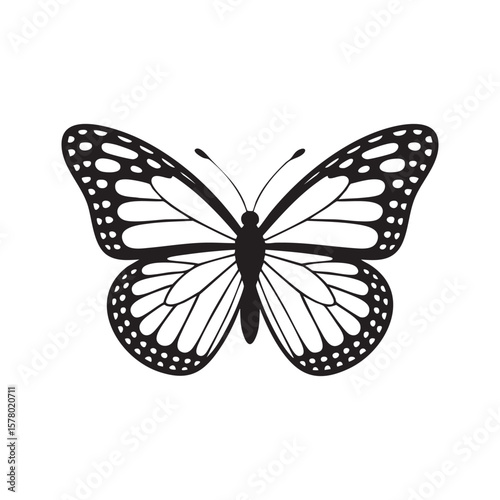 Butterfly Vector Illustration Silhouette Detailed Wing Pattern Nature Insect Graphic Design Element Isolated On White Background