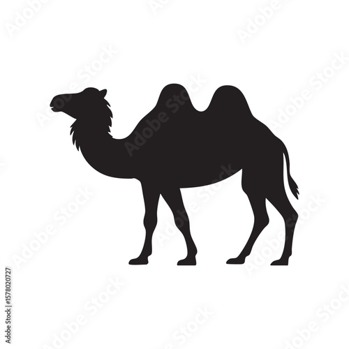Camel Silhouette Vector Illustration Desert Animal Graphic Design Element Black Icon Image Stock