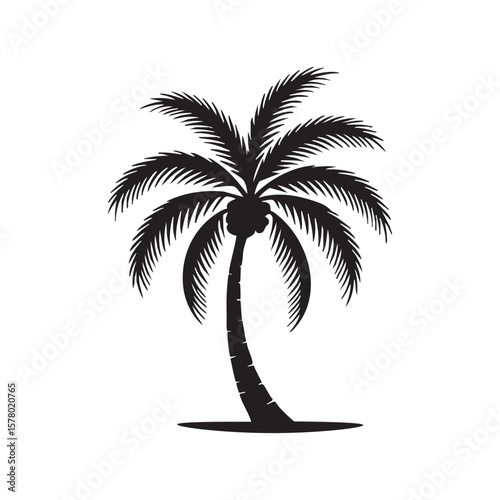 Isolated Black Silhouette Of A Tropical Palm Tree On A White Background
