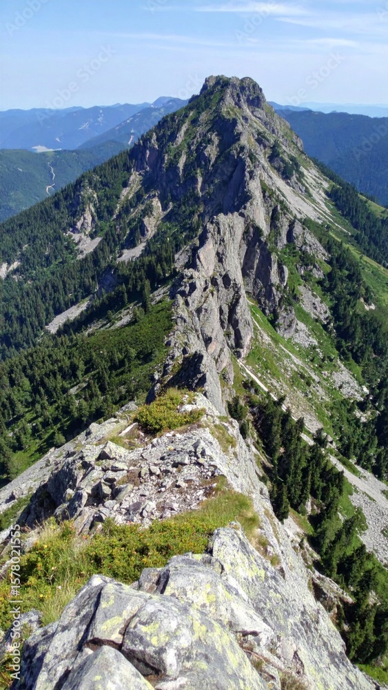 Obraz premium Sharp Mountain Ridge with Green Trees and Clear Blue Sky on Sunny Day