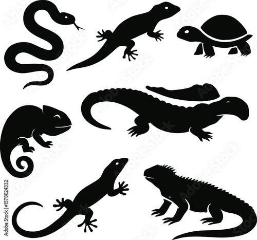 silhouette of a lizard