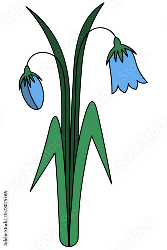 Bell flower. Delicate blue flower buds and large green leaves. Color vector illustration. Flowering plant. Cartoon. Isolated white background. Idea for web design, invitation, postcard.