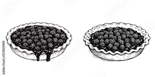 Blackberry Pie Variations. Stylized line art, two distinct designs. Dessert, sweet baking, homemade treat. Recipe books, menu, food packaging, bakery icons