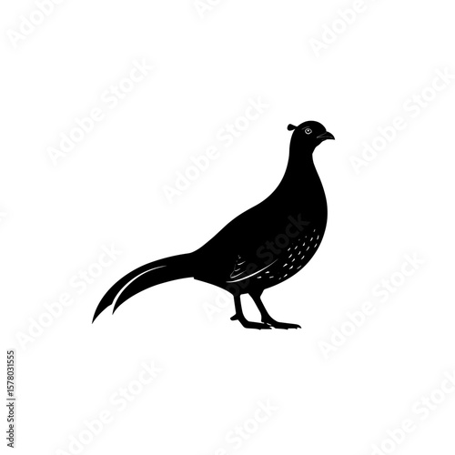 Silhouette illustration of a pheasant standing with its head turned to the right side view isolated art