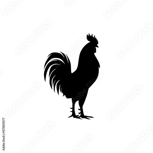 Silhouette of a rooster standing tall with its detailed tail feathers and comb crest visible clearly