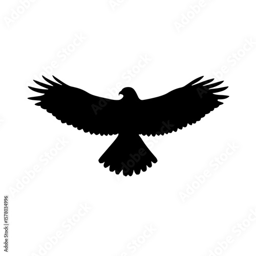 Silhouette of a bird with outstretched wings soaring through the air gracefully and powerfully