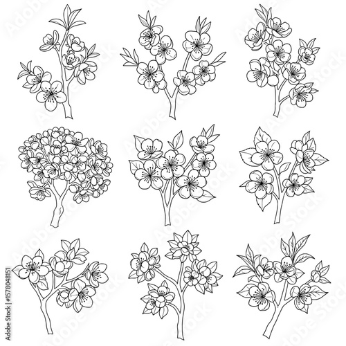 Collection of floral branches with blossoms and leaves for decoration