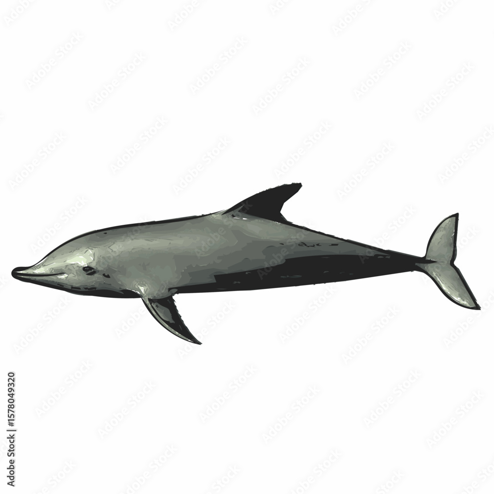 Fototapeta premium Side View Dolphin Vector