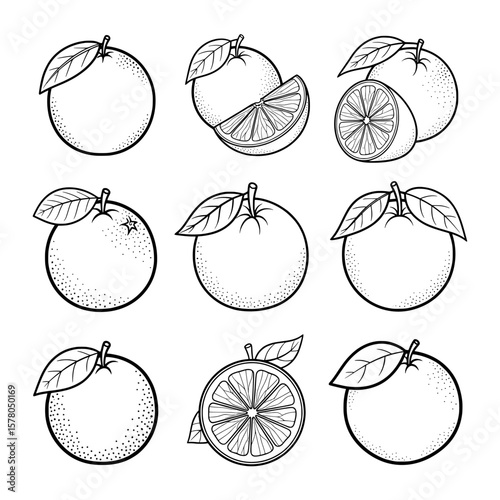 Oranges and lemon slices with leaves on black background