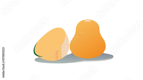 Flat illustration of freshly sliced butternut squash on white background