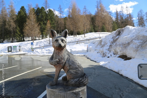 Dog in the snow