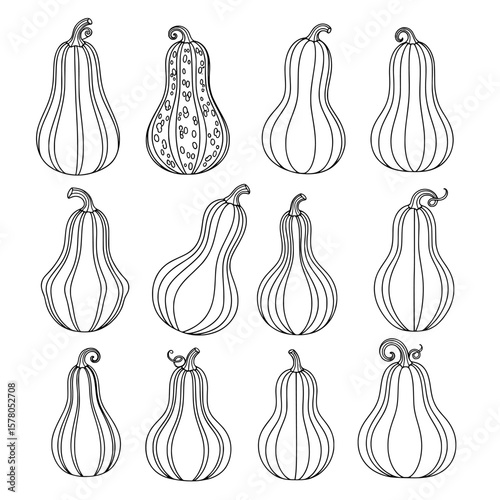 Set of diverse striped gourds for fall harvest decoration