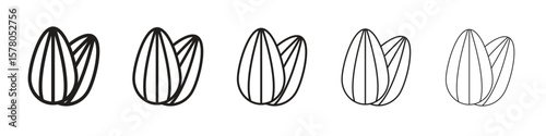 Almond icon line art vector collection on white background