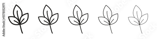 Basil icon line art vector collection on white background