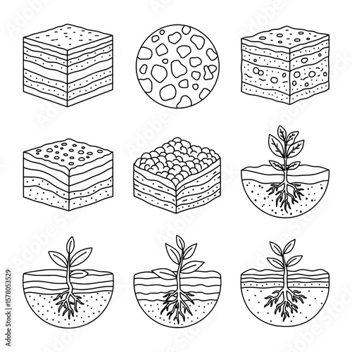 Scientific cross-section of soil layers with plant roots and mineral patterns