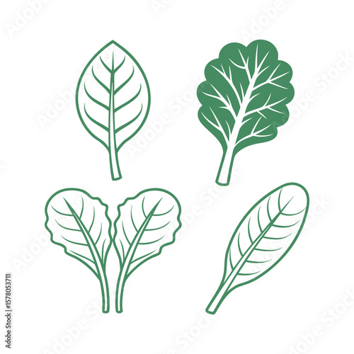 Leafy Greens Icon Set – Minimal Outline Vector of Spinach, Lettuce, Kale, Bok Choy & Swiss Chard