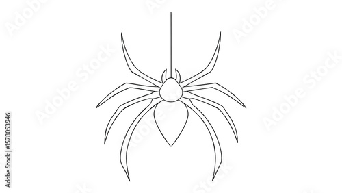 Simple and elegant outline illustration of a spider hanging from a single silk strand