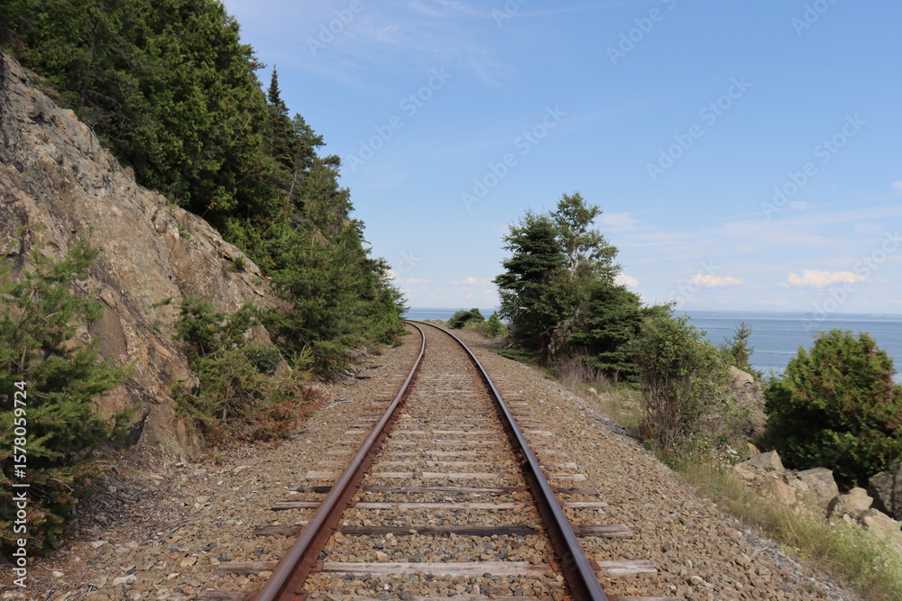 Fototapeta premium Railway in the woods and travel in summer. Path for train.