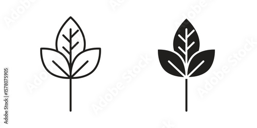 Basil icon vector design, perfect for website ui designs