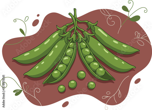 Green pea pods and loose peas with decorative background in natural style vector illustration 
